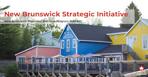 NBPNP - NB Strategic Initiative stream