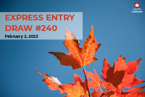 Express Entry Latest Draw 240